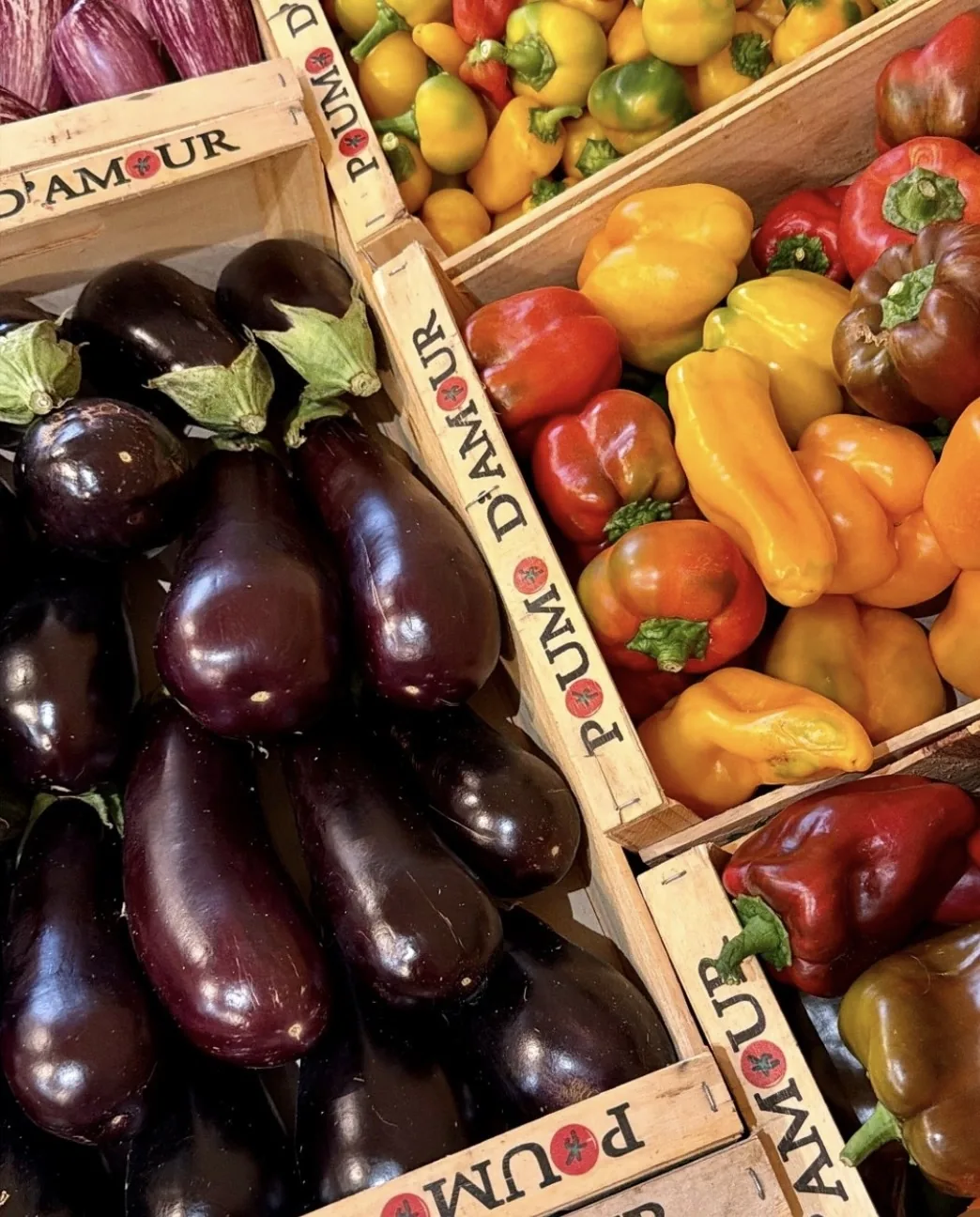 Cagettes d'aubergines et de poivrons fraîchement récoltés
