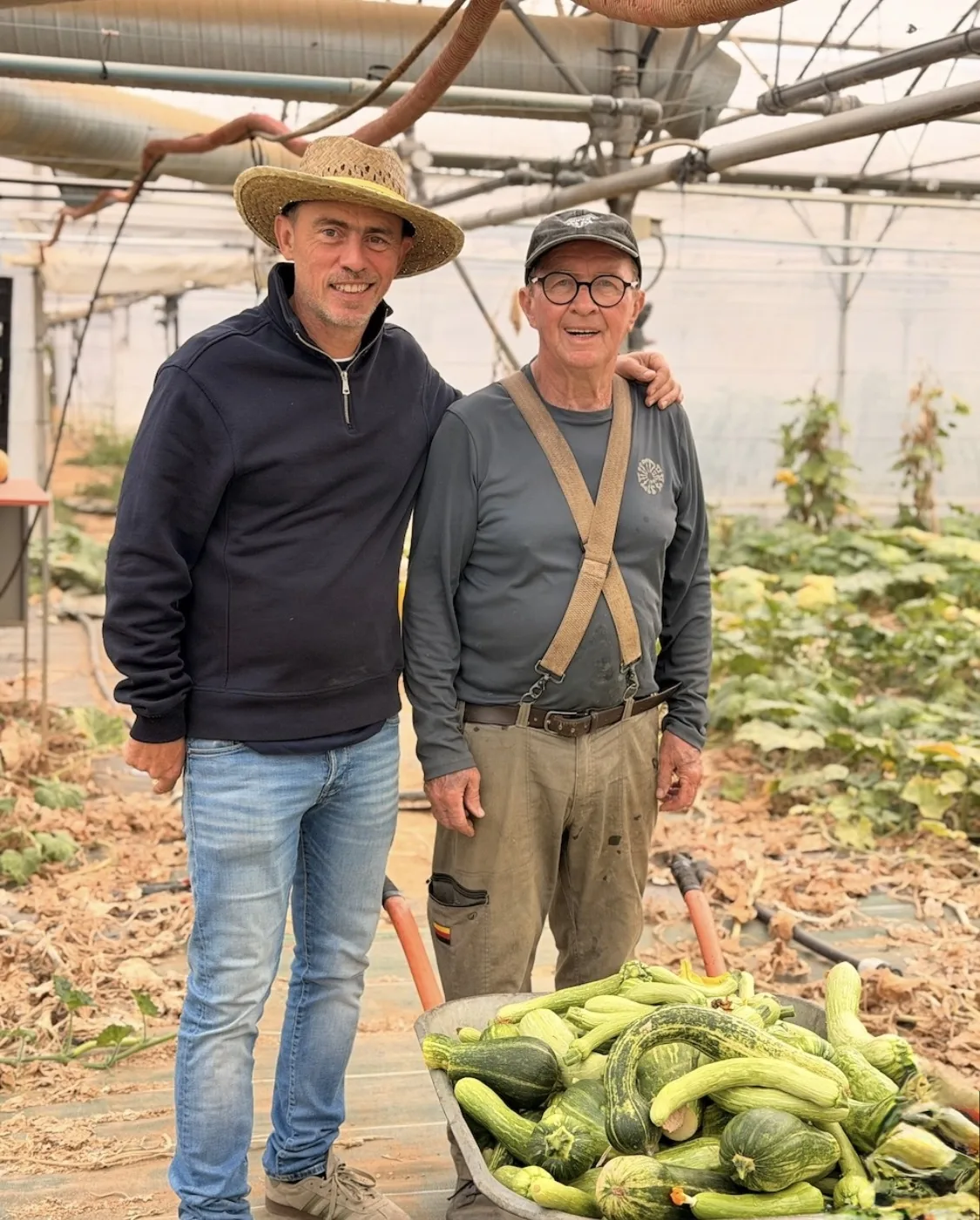 Florent dans sa serre avec une brouette de courgettes